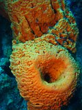 2015-03-27 10-55-45